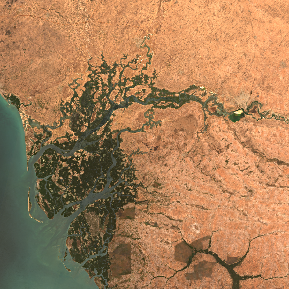 Sentinel-2 Global Mosaic Images